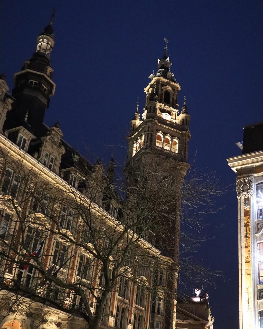 vue depuis la rue lepelletier du beffroi de la cci chambre de commerce et d'industrie de Lille vue depuis la rue lepelletier du beffroi de la cci chambre de commerce et d'industrie de Lille