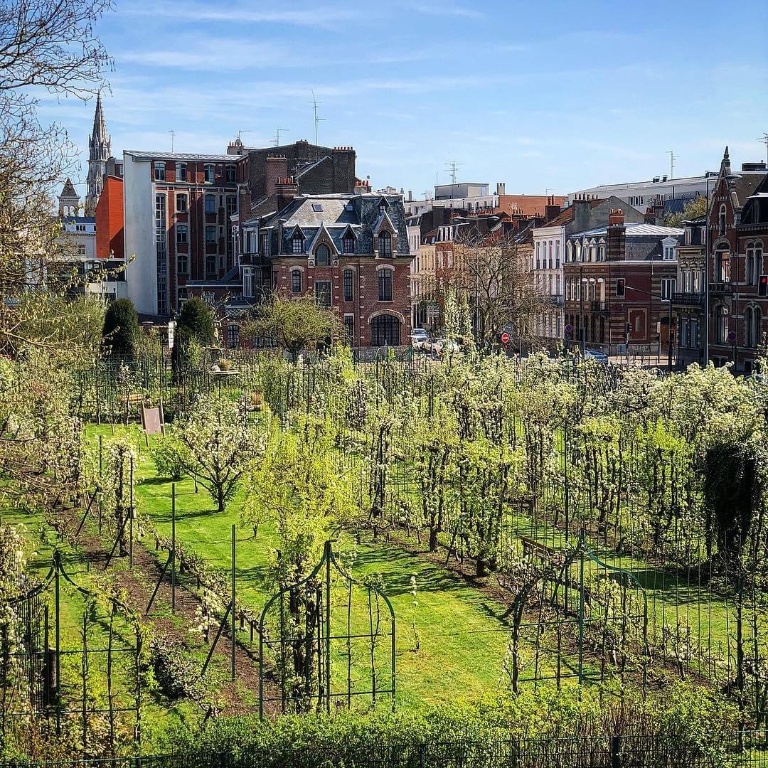 photo panoramique du jardin arboriculture fruitiere lille vergers photo panoramique du jardin arboriculture fruitiere lille vergers