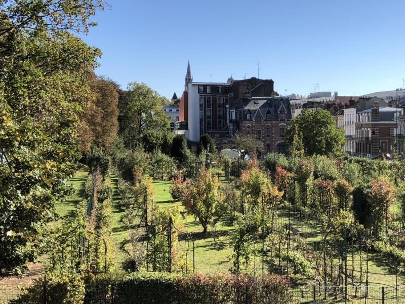parc et jardin de Lille vue du Jardin d'arboriculture fruitière, rue Solférino et rue Desmazieres parc et jardin de Lille vue du Jardin d'arboriculture fruitière, rue Solférino et rue Desmazieres