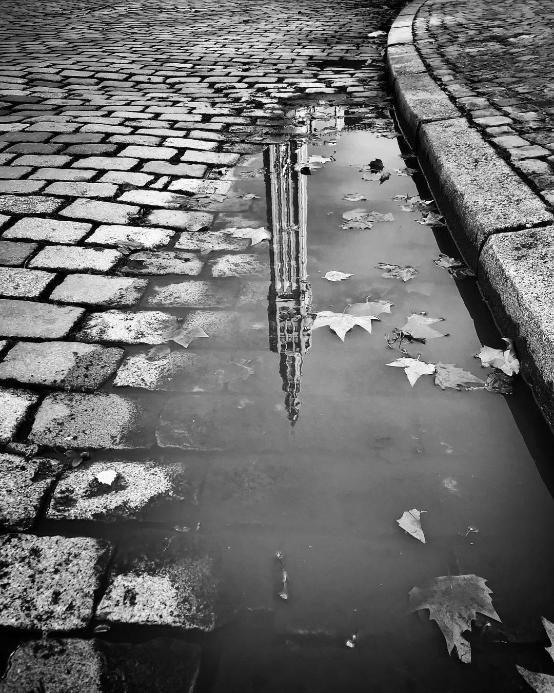 Lille, Le reflet tout en contraste de l'immense Beffroi de l'Hôtel de Ville dans une petite flaque d'eau, Lille, Le reflet tout en contraste de l'immense Beffroi de l'Hôtel de Ville dans une petite flaque d'eau,