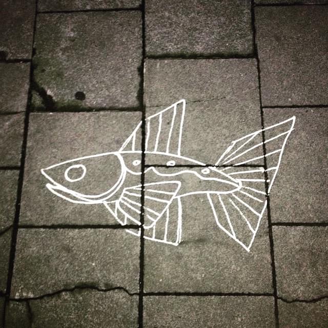 street art lille graffiti du collectif poisson au sol dessiné en blanc street art lille graffiti du collectif poisson au sol dessiné en blanc