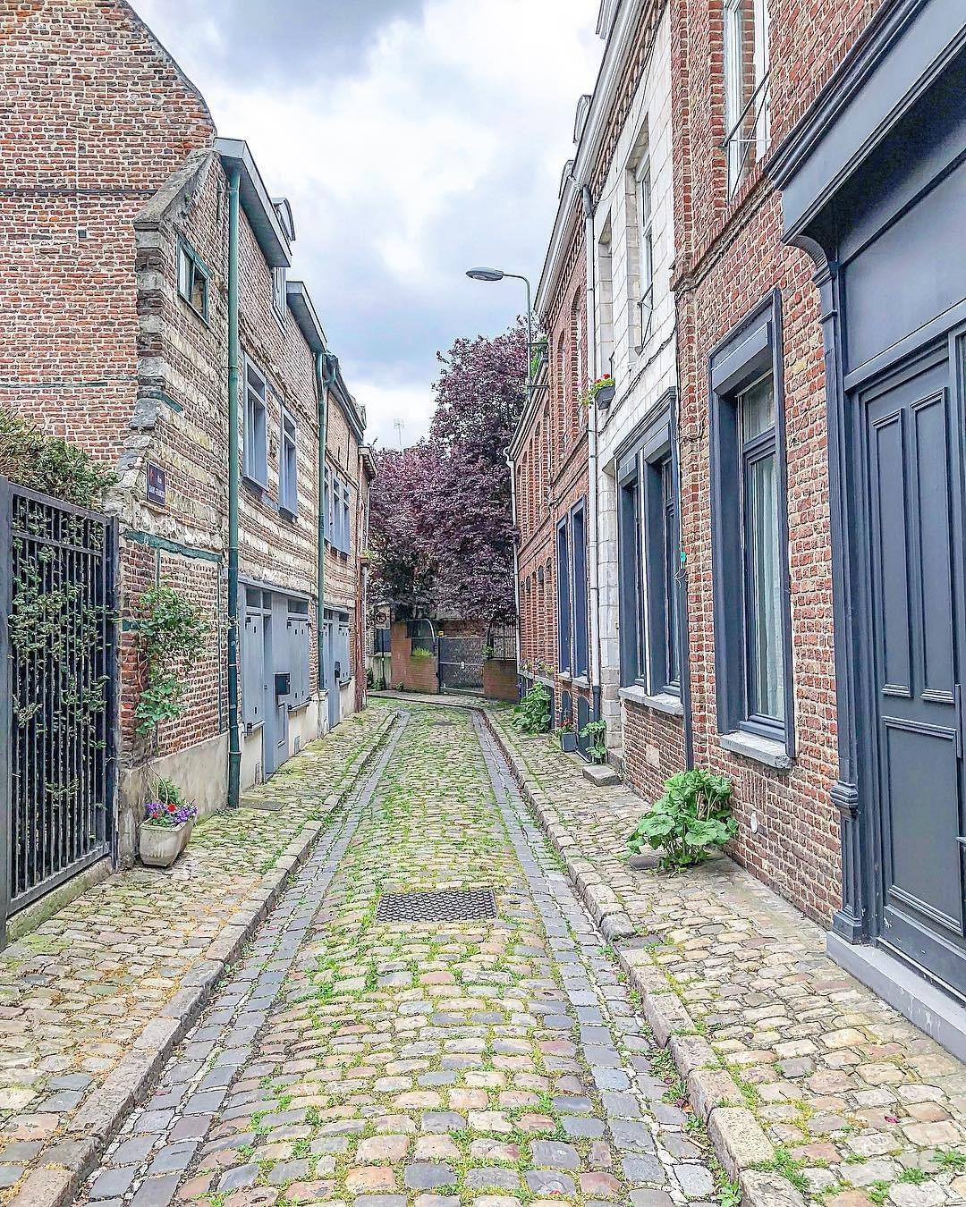 Lille La rue Saint-François et ses maison du 17ème siècle classées monuments historiques Lille La rue Saint-François et ses maison du 17ème siècle classées monuments historiques