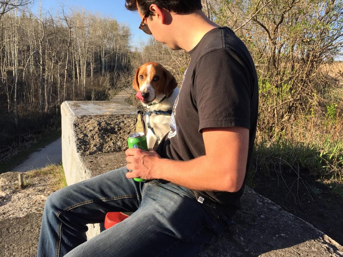 man sitting on concrete bridge drinking a beer beside a beagle man sitting on concrete bridge drinking a beer beside a beagle