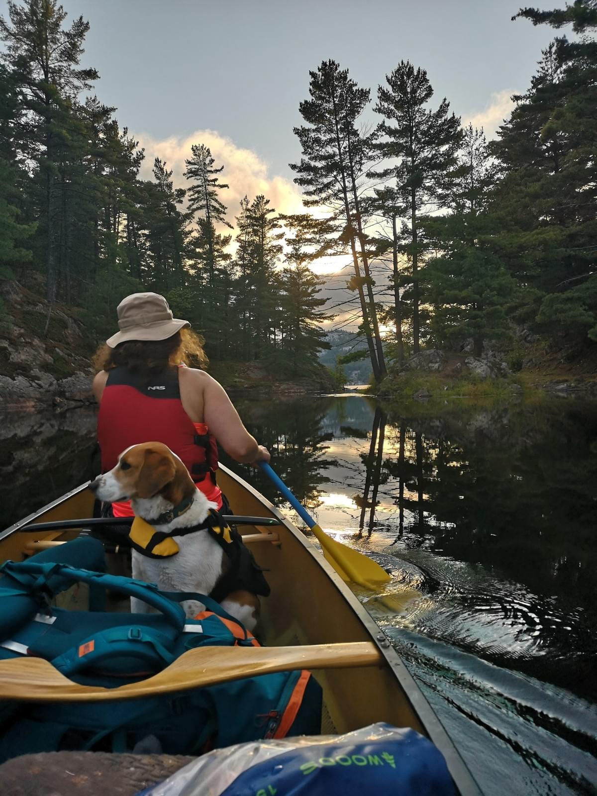 woman paddling a canoe filled with camping gear and a dog in Killarney Provincial Park woman paddling a canoe filled with camping gear and a dog in Killarney Provincial Park