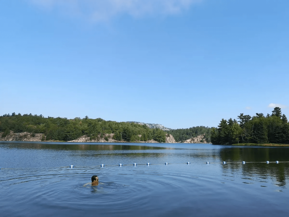 man swimming at George Lake campsite in Killarney Provincial Park man swimming at George Lake campsite in Killarney Provincial Park