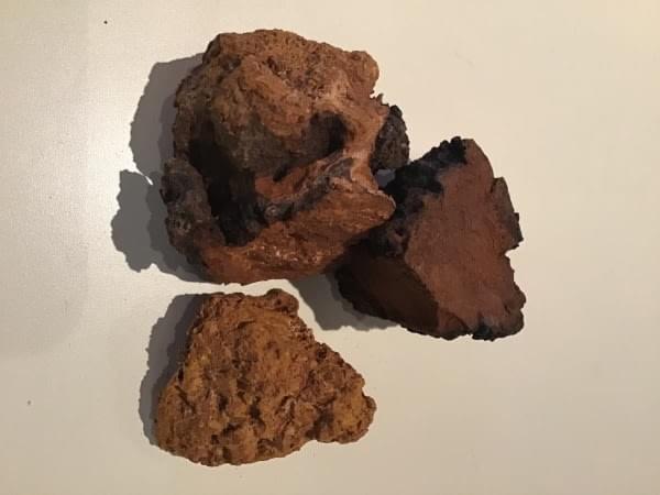 local wild-harvested Chaga. local wild-harvested Chaga.