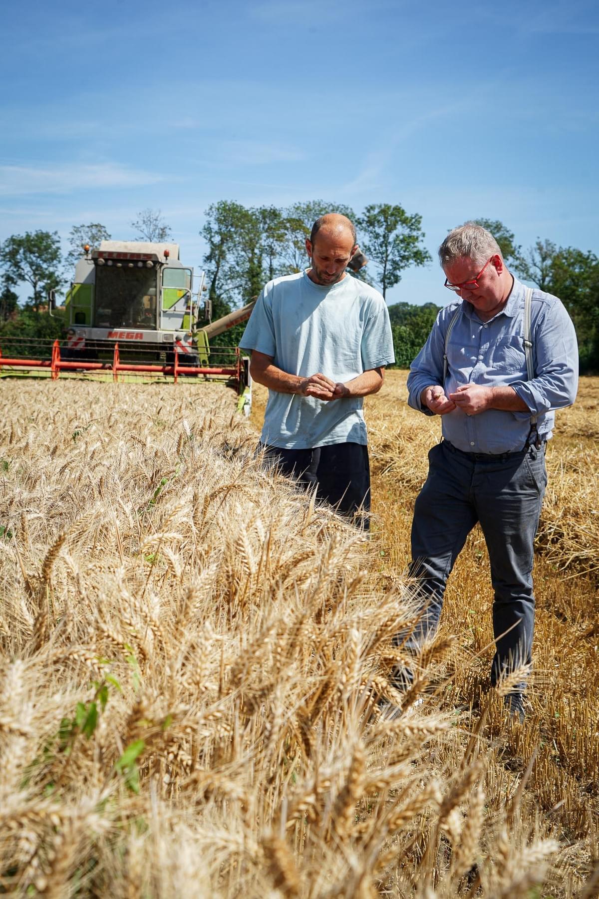 guillaume sébire agriculteur et christophe lepetit boulanger lors des moissons à coté de bayeux photo romane lesellier - balthazar-agence guillaume sébire agriculteur et christophe lepetit boulanger lors des moissons à coté de bayeux photo romane lesellier - balthazar-agence