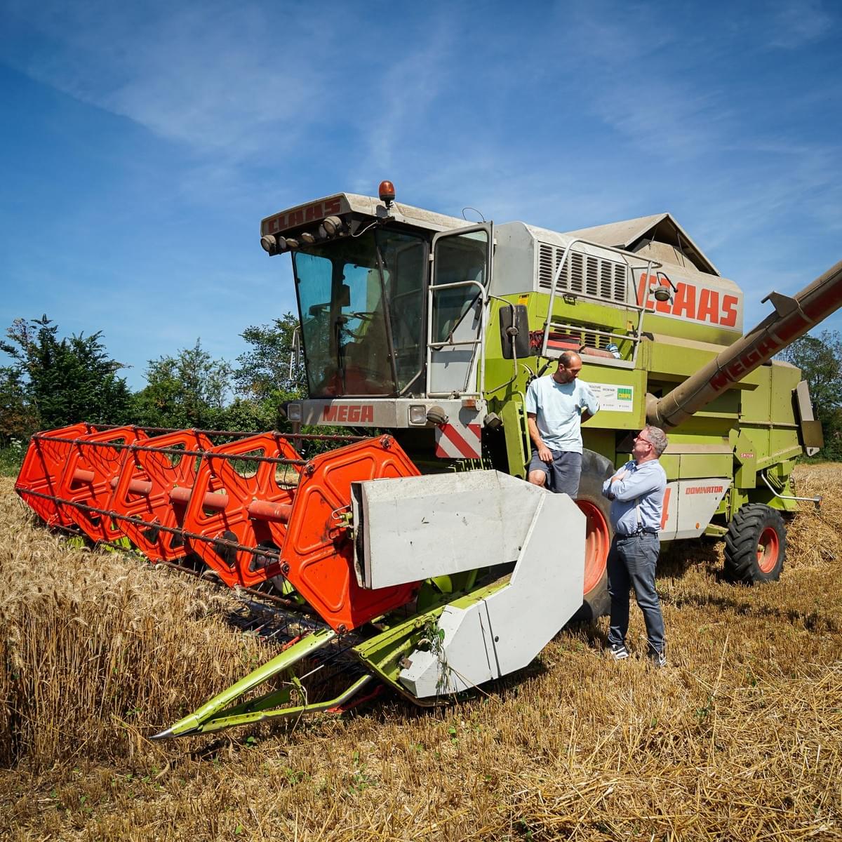 guillaume sébire agriculteur et christophe lepetit boulanger en normandie lors des moissons photo romane lesellier - balthazar-agence guillaume sébire agriculteur et christophe lepetit boulanger en normandie lors des moissons photo romane lesellier - balthazar-agence