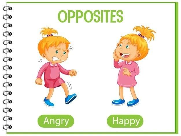 4. Dùng "opposite" như danh từ (noun) 4. Dùng "opposite" như danh từ (noun)