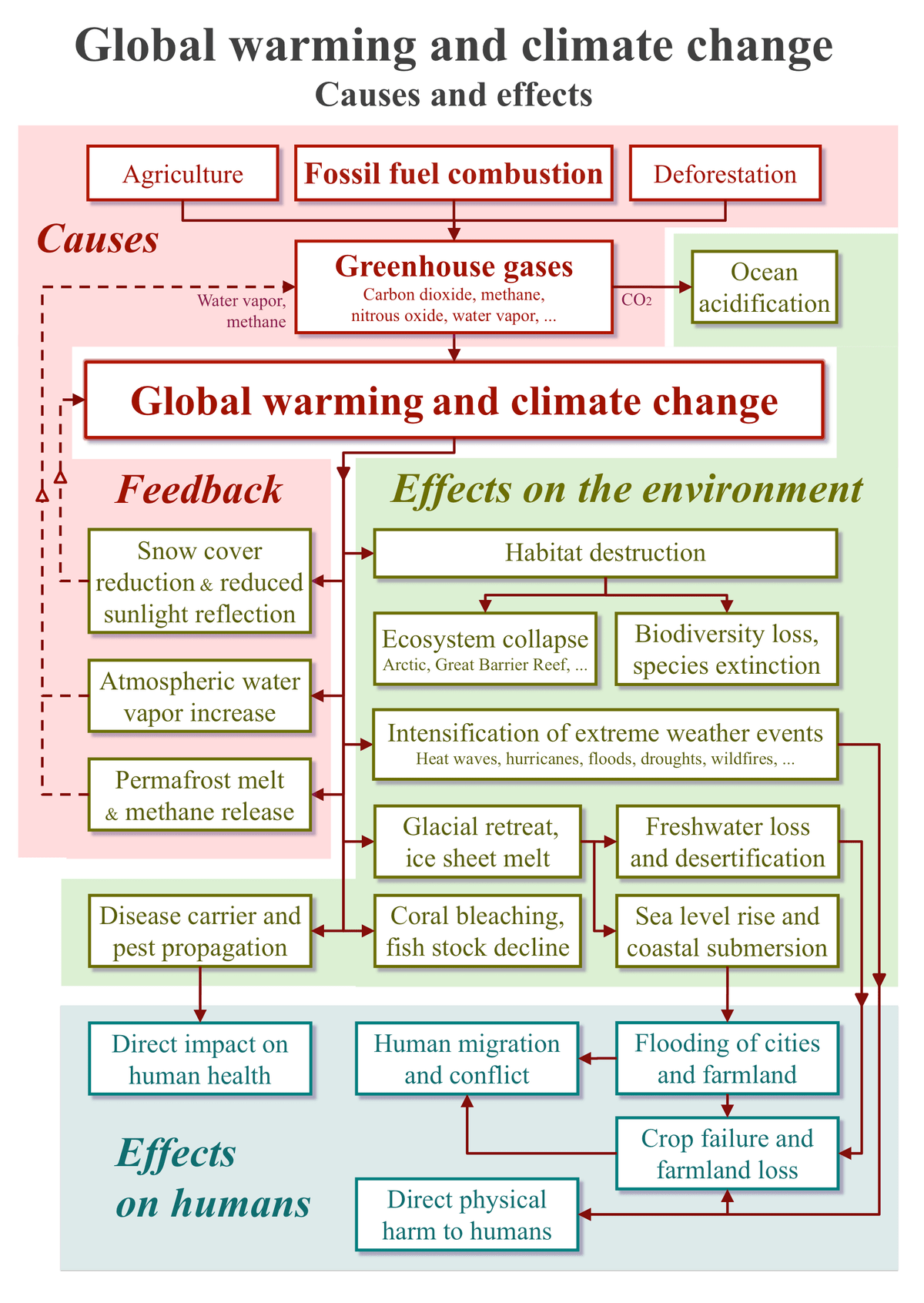 Từ vựng topic "global warming" tiếng anh Từ vựng topic "global warming" tiếng anh