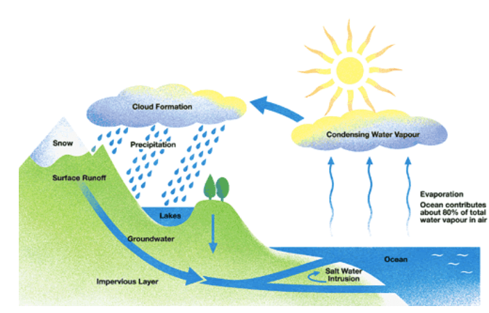 Hướng dẫn phân tích bài process 'water cycle' IELTS WRITING TASK 1 Hướng dẫn phân tích bài process 'water cycle' IELTS WRITING TASK 1