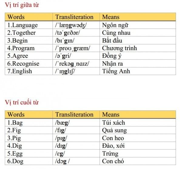 VỊ TRÍ TRONG TỪ VỊ TRÍ TRONG TỪ