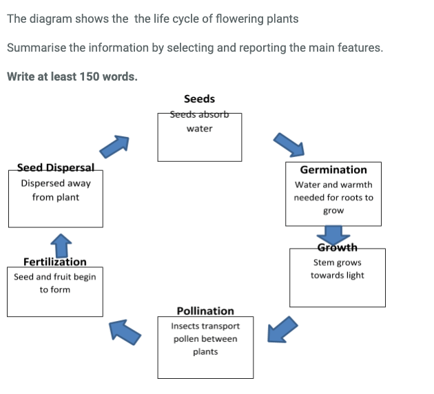 The diagram shows the the life cycle of flowering plants The diagram shows the the life cycle of flowering plants