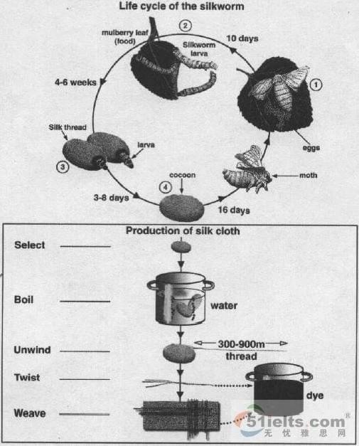Cách chia 2 đoạn thân bài dạng process Cách chia 2 đoạn thân bài dạng process