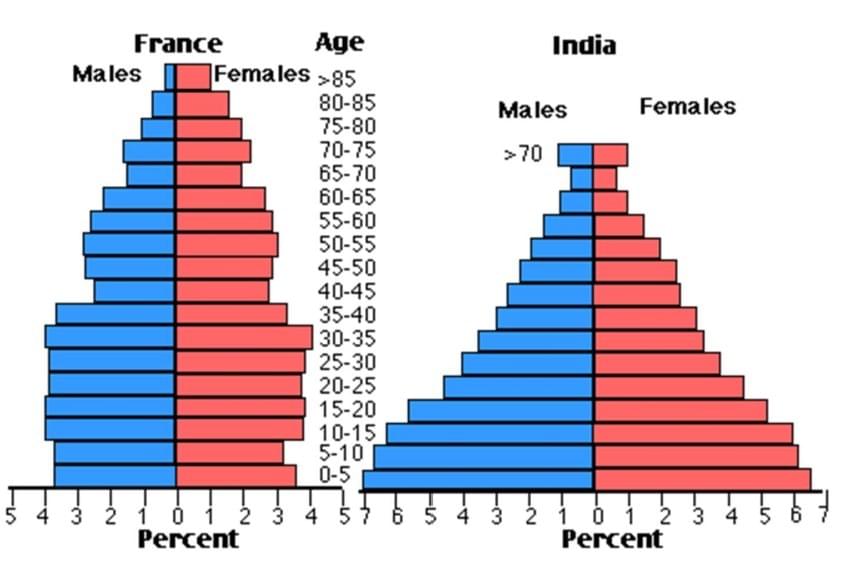 The charts below compare the age structure of the populations of France and India in 1984. The charts below compare the age structure of the populations of France and India in 1984.