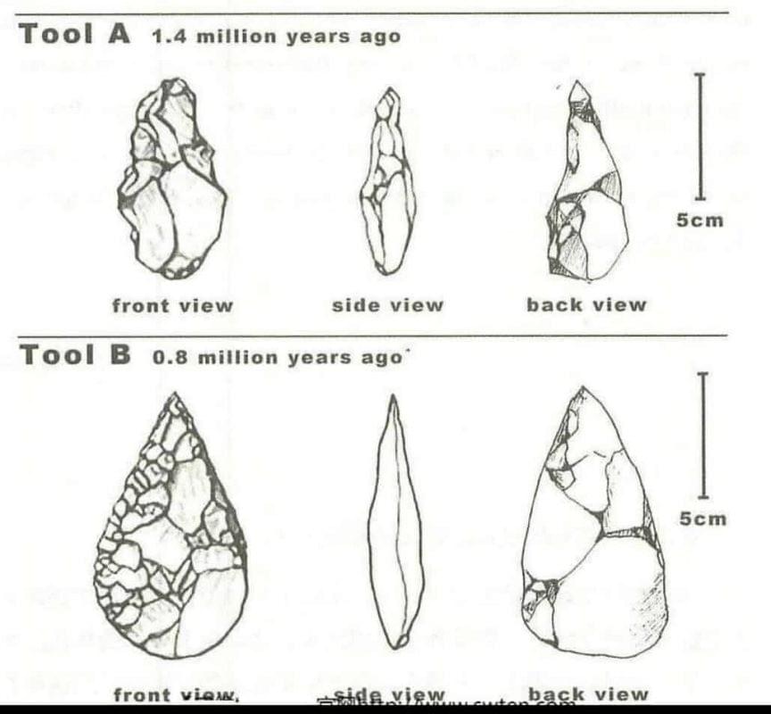 Cách phân tích bài Cutting tools in the Stone Age Cách phân tích bài Cutting tools in the Stone Age