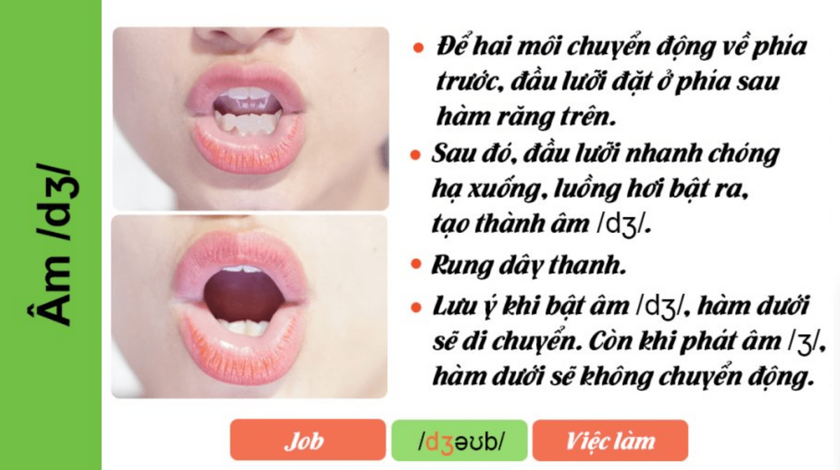TÌM HIỂU VỀ ÂM /tʃ/ - /dʒ/ - /j/ TRONG IELTS SPEAKING PRONUNCIATION TÌM HIỂU VỀ ÂM /tʃ/ - /dʒ/ - /j/ TRONG IELTS SPEAKING PRONUNCIATION