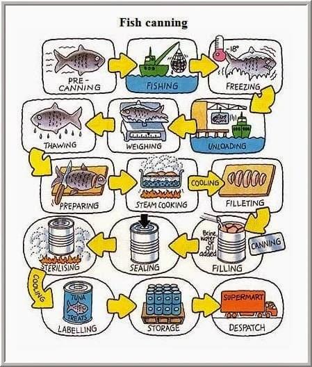 Cách chia bố cục 2 đoạn thân bài dạng Process IELTS WRITING TASK 1 Cách chia bố cục 2 đoạn thân bài dạng Process IELTS WRITING TASK 1