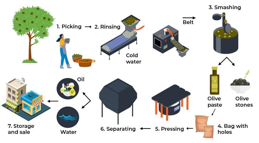 Phân tích & sửa bài essay dạng process về " the production of olive oil" IELTS WRITING TASK 1 Phân tích & sửa bài essay dạng process về " the production of olive oil" IELTS WRITING TASK 1