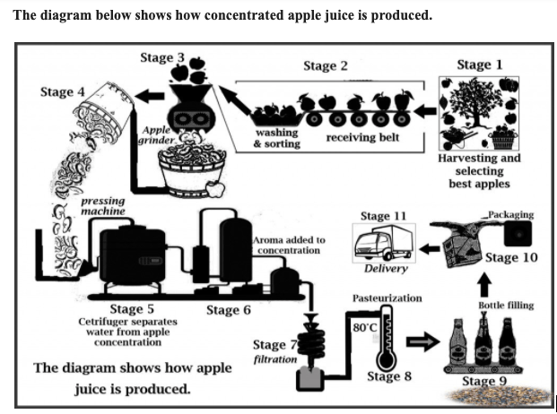 The diagram below shows how concentrated apple juice is produced. The diagram below shows how concentrated apple juice is produced.