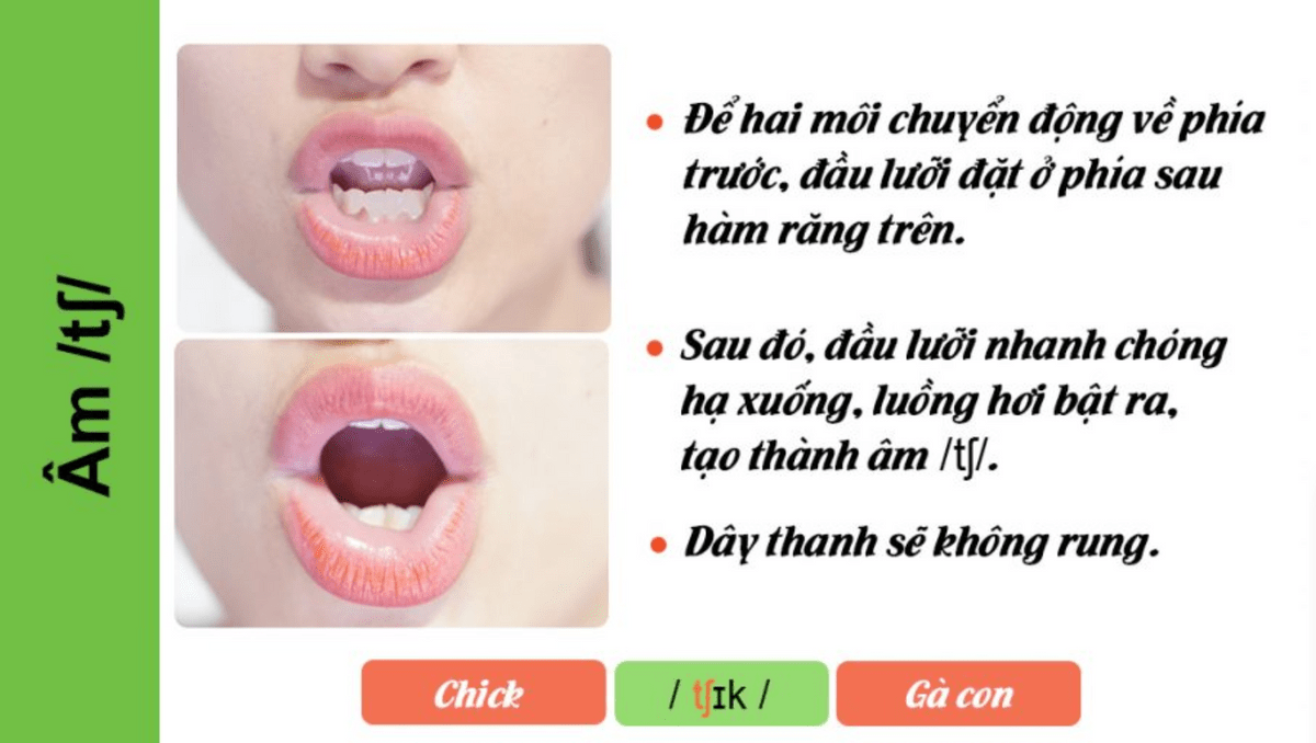 TÌM HIỂU VỀ ÂM /tʃ/ - /dʒ/ - /j/ TRONG IELTS SPEAKING PRONUNCIATION TÌM HIỂU VỀ ÂM /tʃ/ - /dʒ/ - /j/ TRONG IELTS SPEAKING PRONUNCIATION
