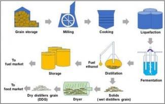 The diagram below shows the production of ethanol oil from grain. Summarize the information by selecting and reporting the main features and make comparisons where relevant. The diagram below shows the production of ethanol oil from grain. Summarize the information by selecting and reporting the main features and make comparisons where relevant.