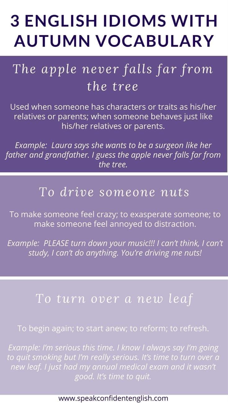 Tổng hợp tất tần tật Idioms theo chủ đề thường gặp trong IELTS Speaking Tổng hợp tất tần tật Idioms theo chủ đề thường gặp trong IELTS Speaking
