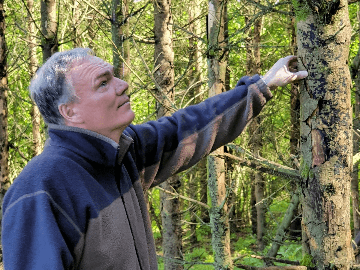 Andreas Steier Bundestagsabgeordneter Trier im Wald Andreas Steier Bundestagsabgeordneter Trier im Wald