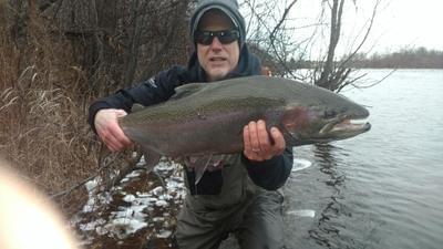 upper peninsula steelhead upper peninsula steelhead