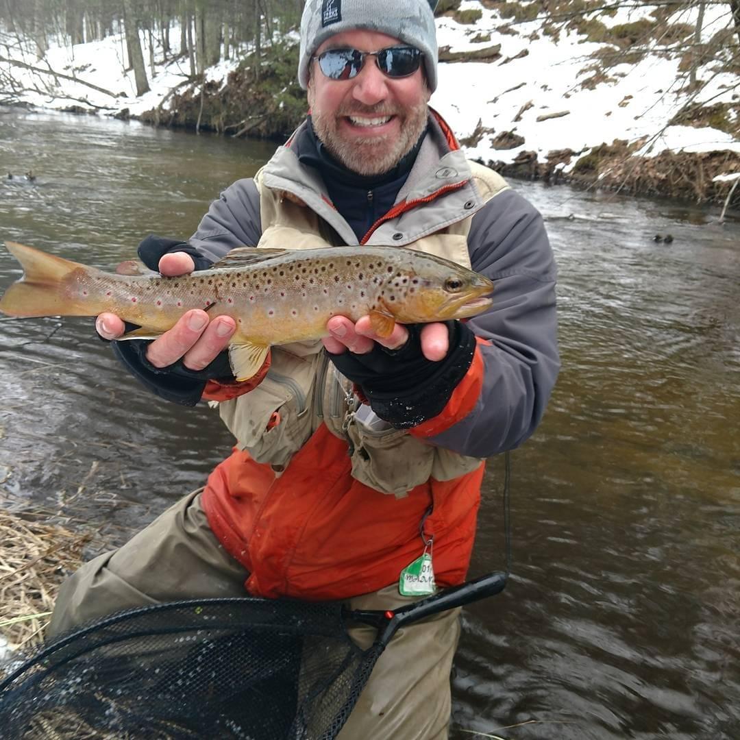 upper peninsula brown trout upper peninsula brown trout
