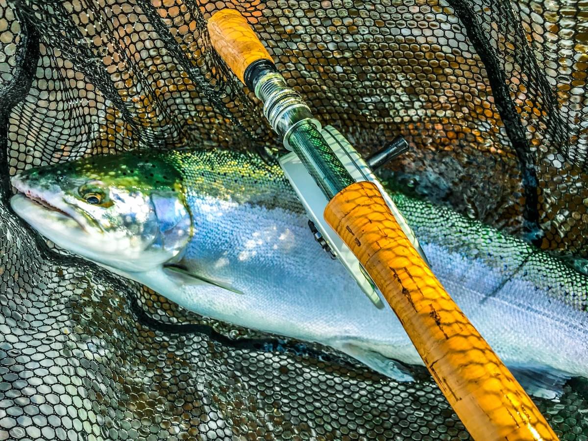 upper peninsula steelhead upper peninsula steelhead