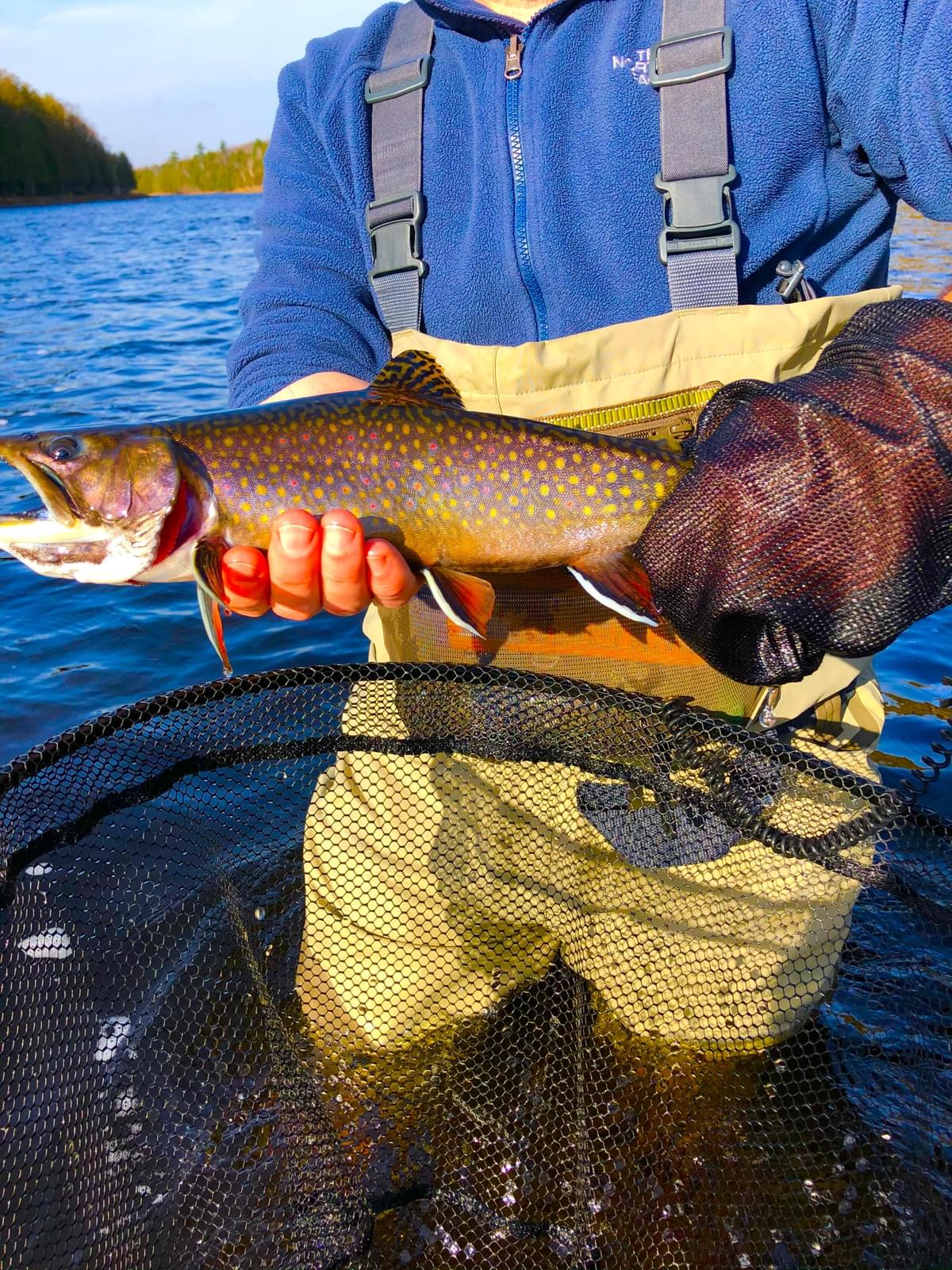 upper peninsula brook trout upper peninsula brook trout