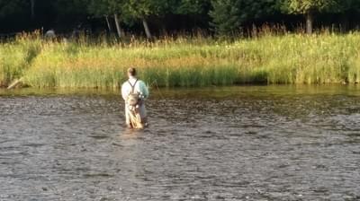 upper peninsula fly fishing upper peninsula fly fishing