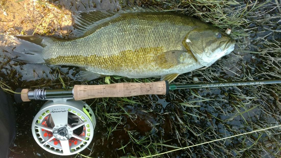 upper peninsula smallmouth upper peninsula smallmouth
