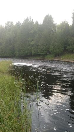 upper peninsula trout stream upper peninsula trout stream