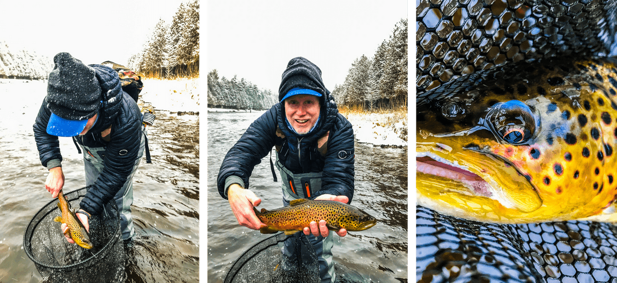 upper peninsula brown trout upper peninsula brown trout