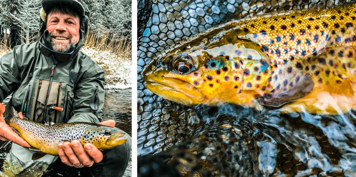 upper peninsula brown trout upper peninsula brown trout
