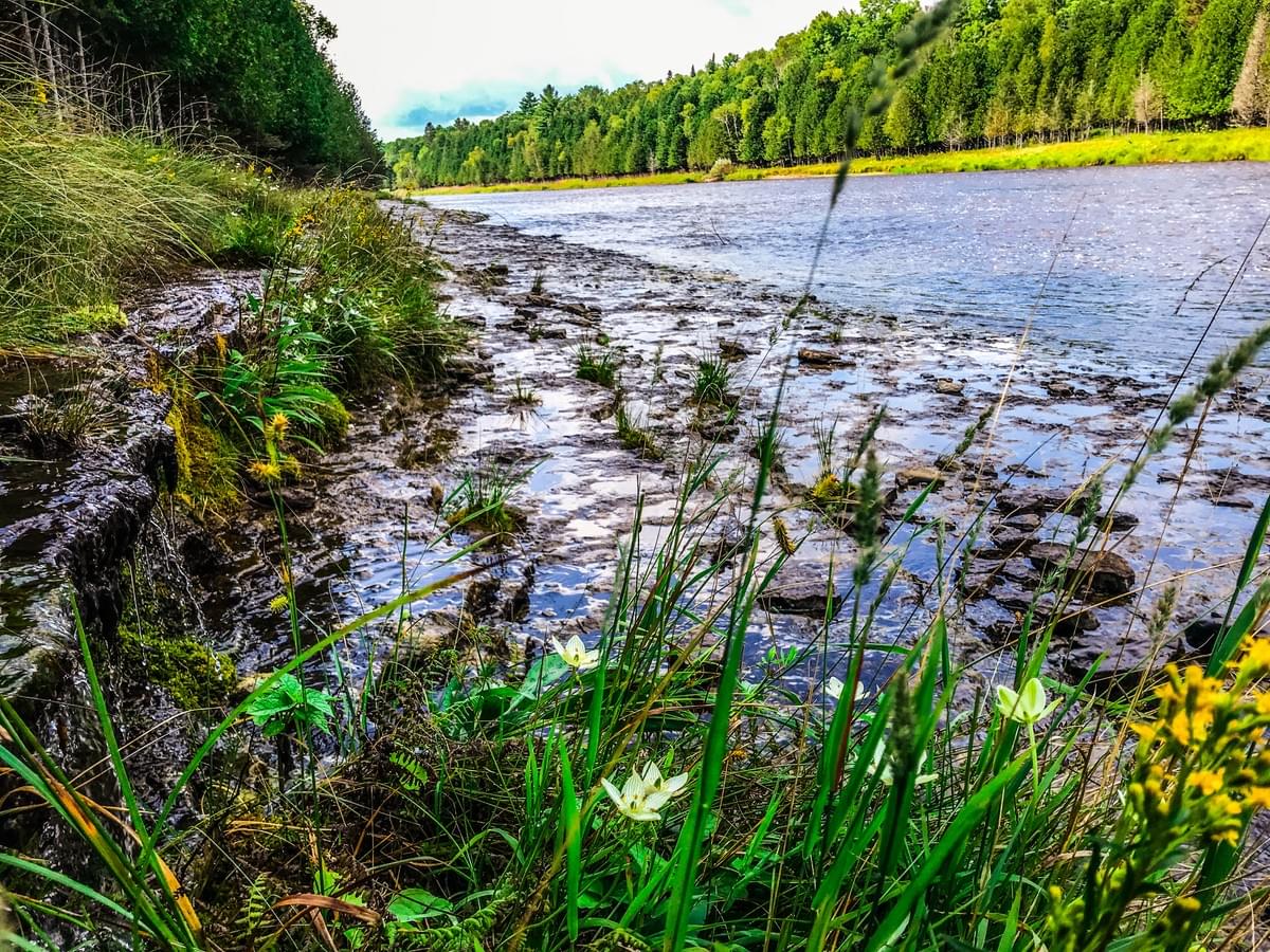 upper peninsula trout stream upper peninsula trout stream