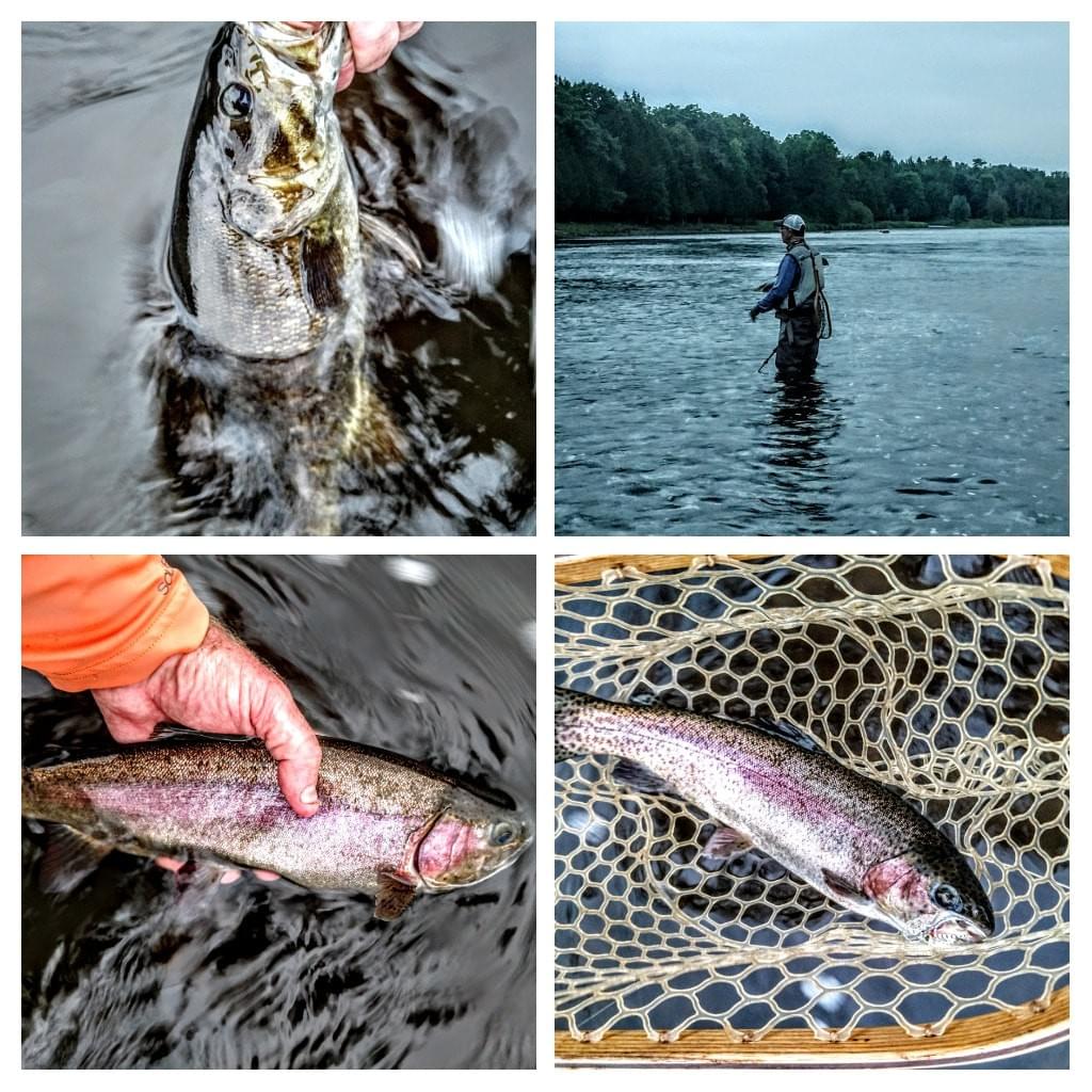 upper peninsula rainbow trout upper peninsula rainbow trout