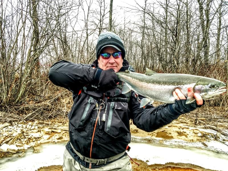 upper peninsula steelhead upper peninsula steelhead