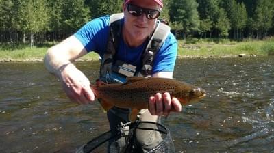 upper peninsula brown trout upper peninsula brown trout