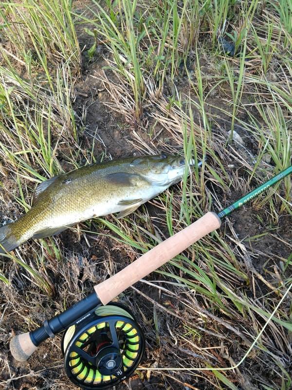 upper peninsula smallmouth upper peninsula smallmouth