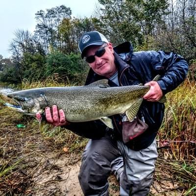 upper peninsula king salmon upper peninsula king salmon