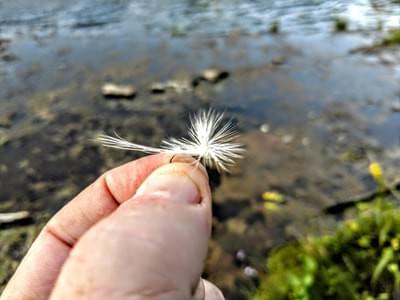 upper peninsula fly fishing upper peninsula fly fishing
