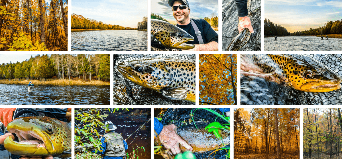 upper peninsula brown trout fly fishing in the fall upper peninsula brown trout fly fishing in the fall