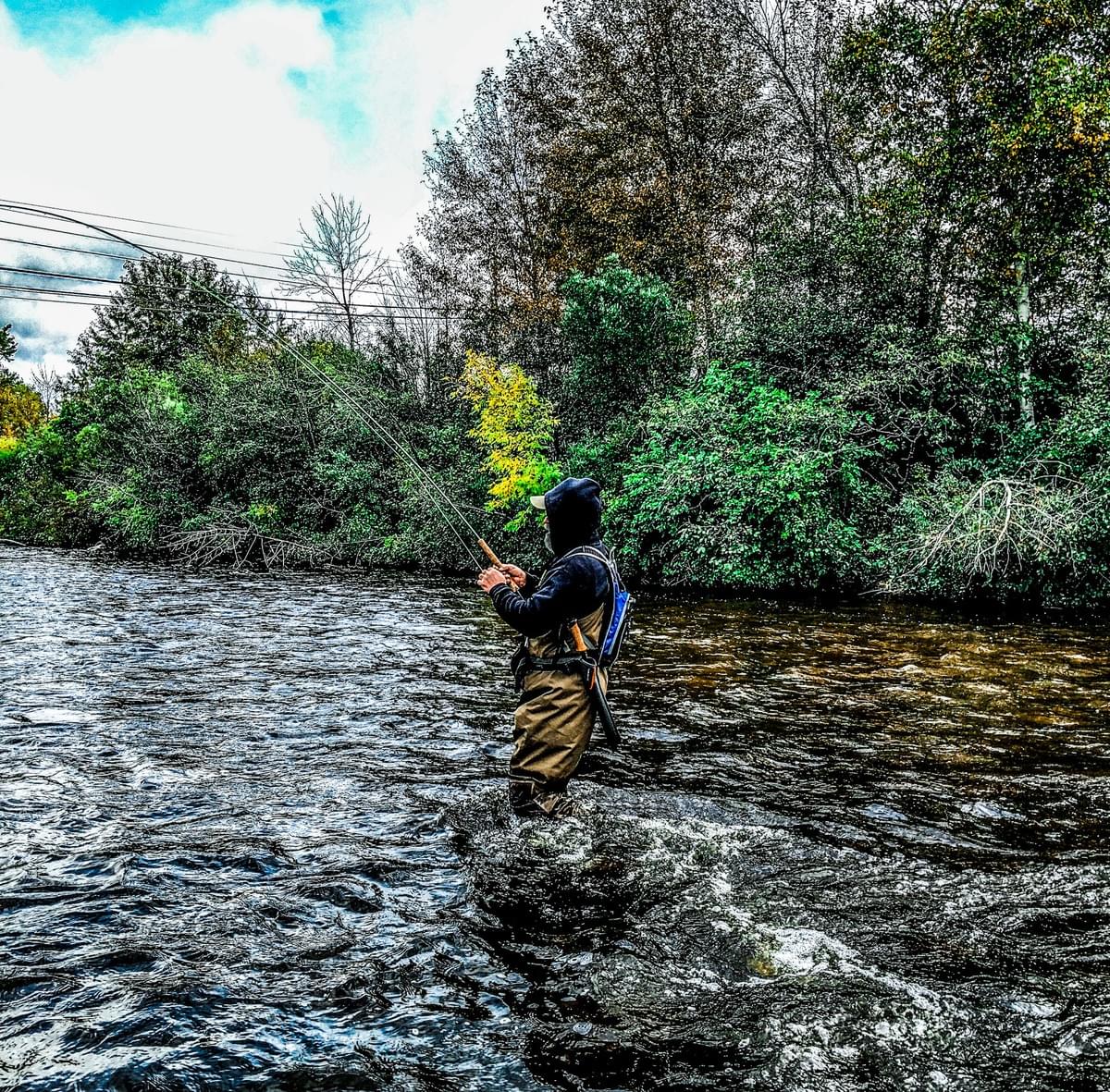 fighting an upper peninsula steelhead fighting an upper peninsula steelhead