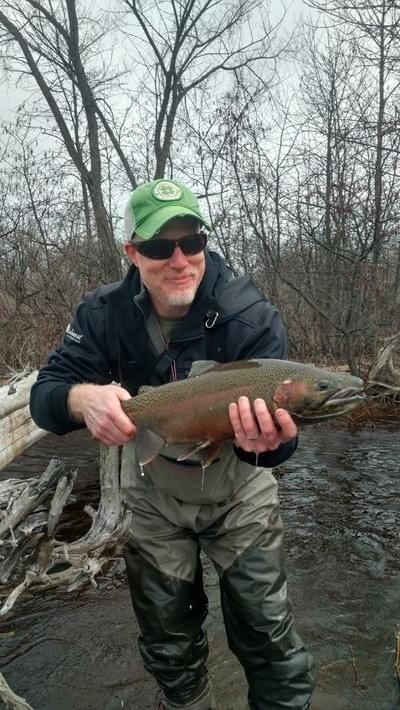 upper peninsula steelhead upper peninsula steelhead