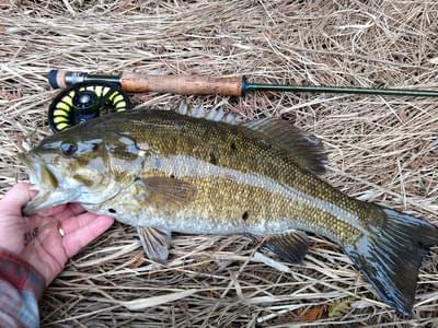 upper peninsula smallmouth upper peninsula smallmouth