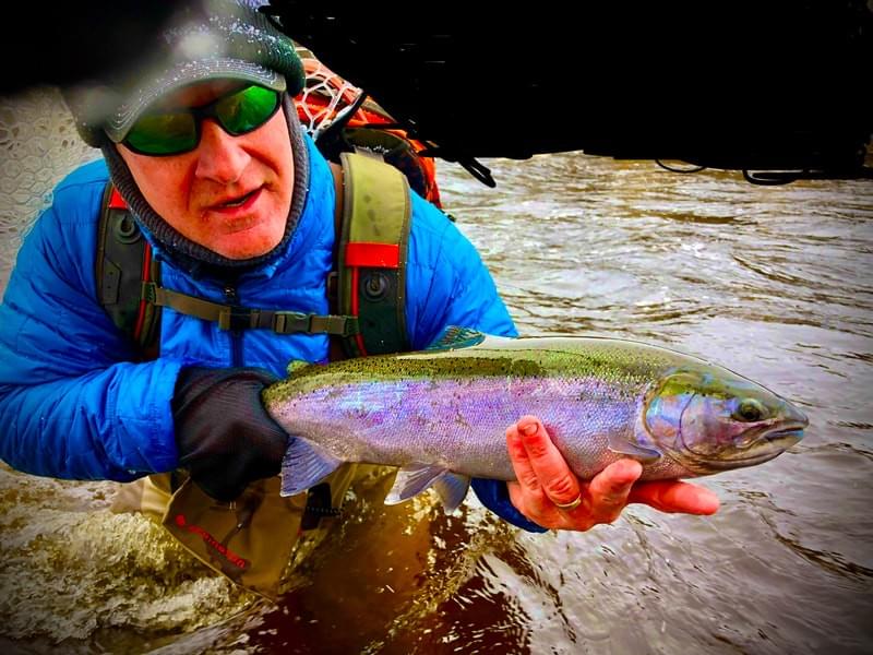 upper peninsula steelhead upper peninsula steelhead
