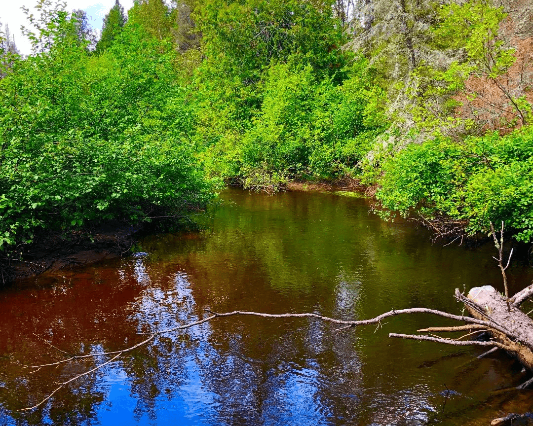upper peninsula brook trout stream upper peninsula brook trout stream